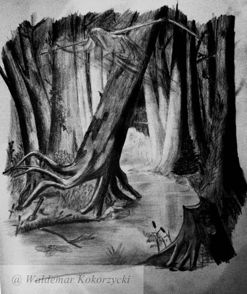 drawing.jpg
